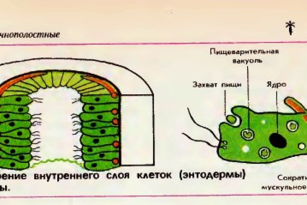 Кракен маркетплейс зеркало