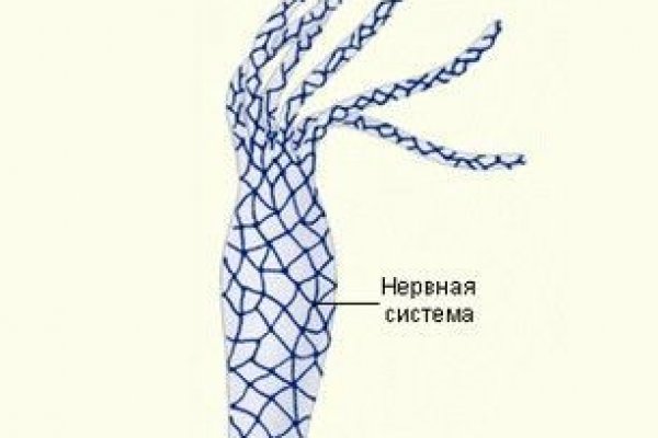 Сайт даркнет покупки